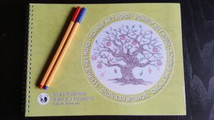 Mandala kleuren; Mandala schrijven met het werkboek Schrijf het rond door Daniëlle Botermans