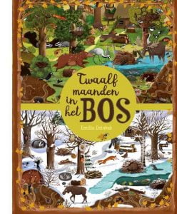 Natuurboeken voor kinderen: Twaalf maanden in het bos