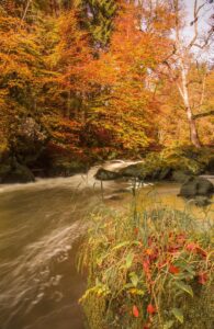 Diamond painting herfst: Eifel Irreler wasserfalle - waterval herfst